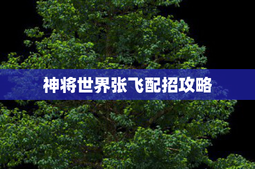 神将世界张飞配招攻略图片
