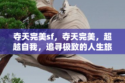 追寻极致的人生旅程图片