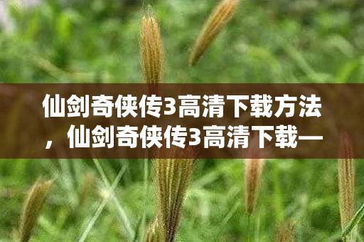 仙剑奇侠传3高清下载方法图片