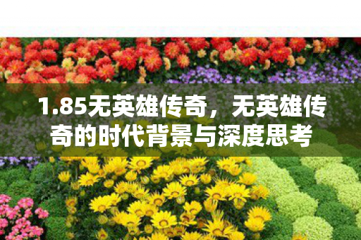 无英雄传奇的时代背景与深度思考图片