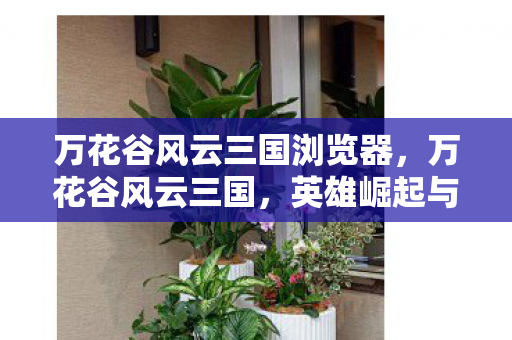 英雄崛起与乱世纷争的时代画卷图片
