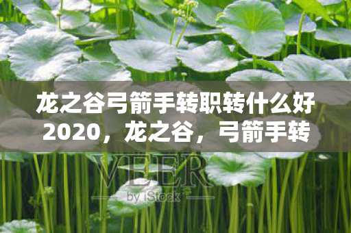 龙之谷弓箭手转职转什么好2020图片