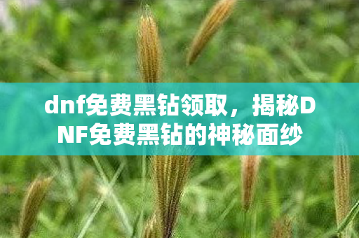 揭秘DNF免费黑钻的神秘面纱图片