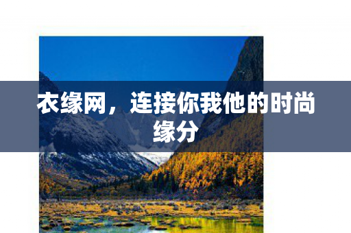 连接你我他的时尚缘分图片