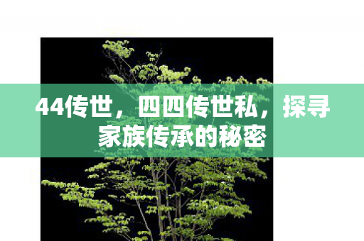 探寻家族传承的秘密图片