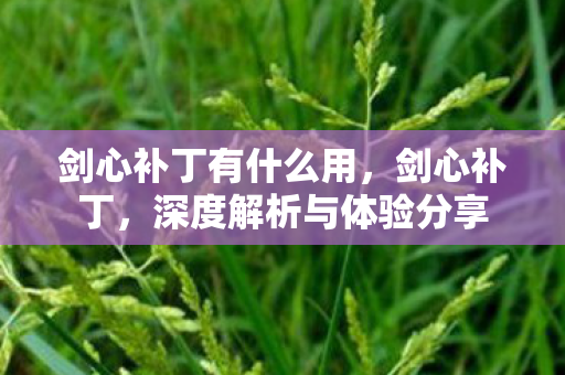 深度解析与体验分享图片