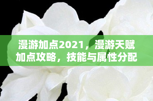 技能与属性分配指南图片