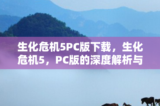 PC版的深度解析与体验图片