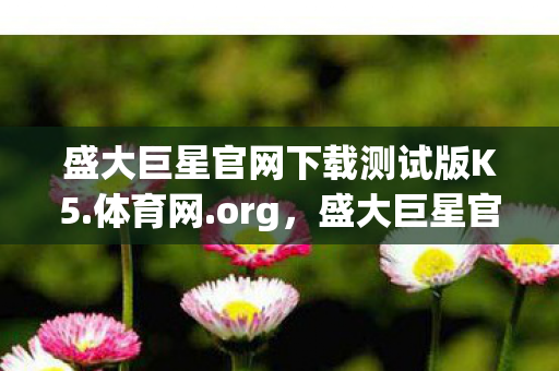 盛大巨星官网下载攻略及游戏特色体验分享图片