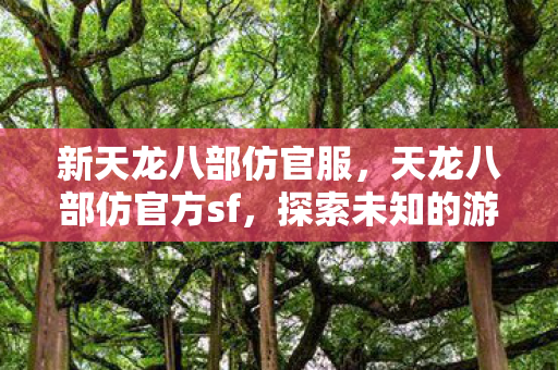 天龙八部仿官方sf图片
