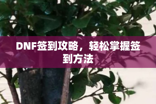 轻松掌握签到方法图片