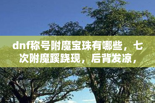 dnf称号附魔宝珠有哪些,七次附魔蹊跷现,后背发凉,DNF策划,你究竟耍了我多少年? dnf称号附魔宝珠有哪些,七次附魔蹊跷现,后背发凉,DNF策划,你究竟耍了我多少年?