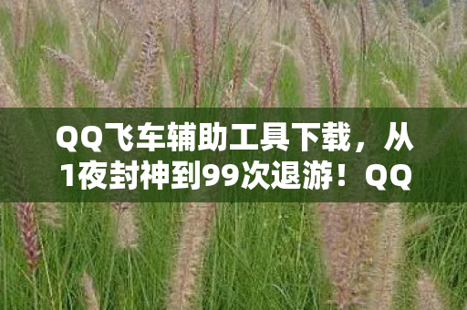 QQ飞车辅助工具下载,从1夜封神到99次退游!QQ飞车辅助竟让我重燃赛道热血? QQ飞车辅助工具下载,从1夜封神到99次退游!QQ飞车辅助竟让我重燃赛道热血?