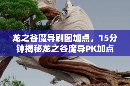 龙之谷魔导刷图加点，15分钟揭秘龙之谷魔导PK加点之谜，十年沉浮终泪目