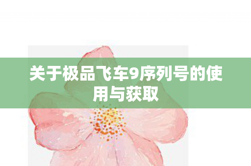 关于极品飞车9序列号的使用与获取图片