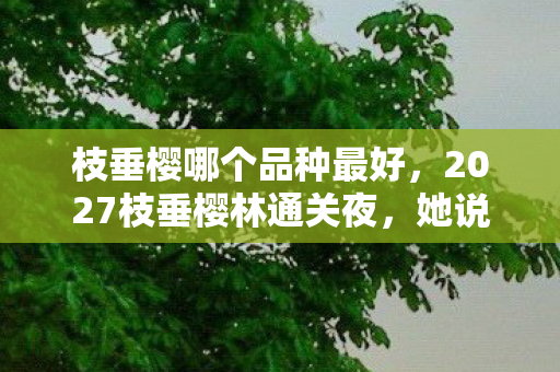 枝垂樱哪个品种最好，2027枝垂樱林通关夜，她说的等你，让我鼻子一酸