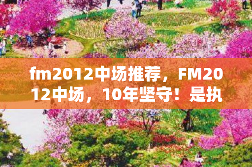 fm2012中场推荐,FM2012中场,10年坚守!是执念成魔还是破茧重生? fm2012中场推荐,FM2012中场,10年坚守!是执念成魔还是破茧重生?