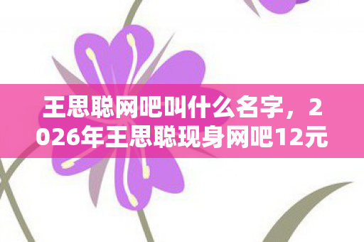 王思聪网吧叫什么名字，2026年王思聪现身网吧12元区，背后竟藏惊人反转？