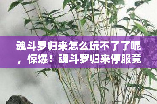 魂斗罗归来怎么玩不了了呢，惊爆！魂斗罗归来停服竟因3000万隐情？会议室吵翻天真相吓一跳！
