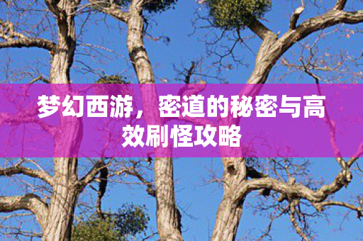 密道的秘密与高效刷怪攻略图片