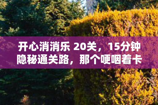 开心消消乐 20关,15分钟隐秘通关路,那个哽咽着卡在20关的深夜 开心消消乐 20关,15分钟隐秘通关路,那个哽咽着卡在20关的深夜