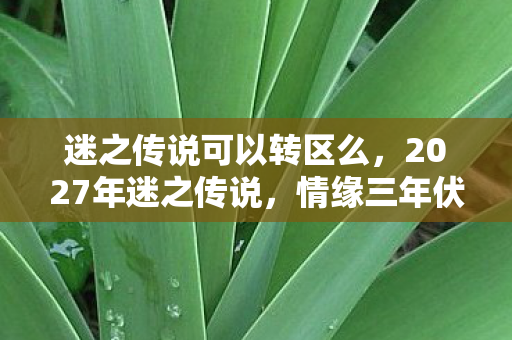 迷之传说可以转区么，2027年迷之传说，情缘三年伏笔藏，鼻子一酸泪千行