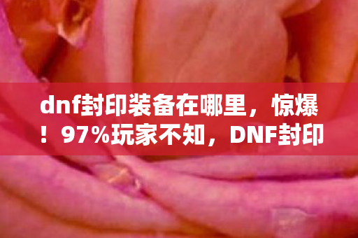 dnf封印装备在哪里，惊爆！97%玩家不知，DNF封印礼盒竟在主机端变异了？