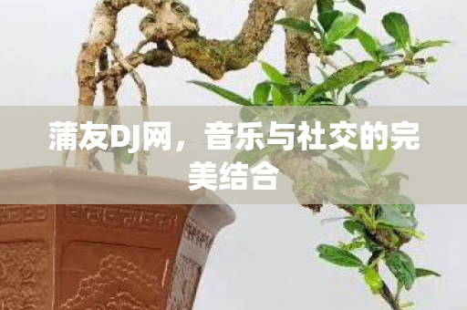 音乐与社交的完美结合图片