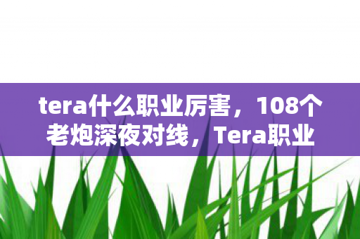 tera什么职业厉害，108个老炮深夜对线，Tera职业怎么选？这疑点让我当场绷不住！