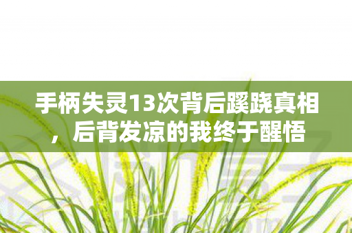 手柄失灵13次背后蹊跷真相，后背发凉的我终于醒悟