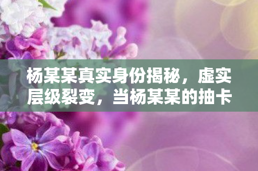 杨某某真实身份揭秘，虚实层级裂变，当杨某某的抽卡悖论撕碎存在主义幻梦