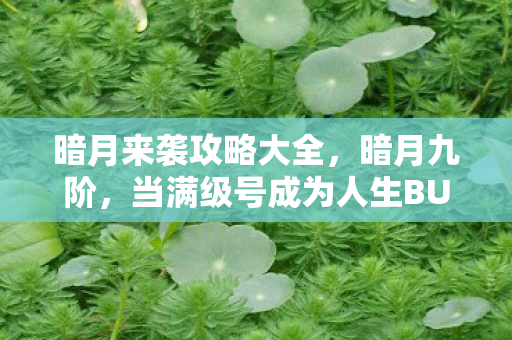 暗月来袭攻略大全,暗月九阶,当满级号成为人生BUG,我却在女儿瞳孔里看见真正的深渊 暗月来袭攻略大全,暗月九阶,当满级号成为人生BUG,我却在女儿瞳孔里看见真正的深渊