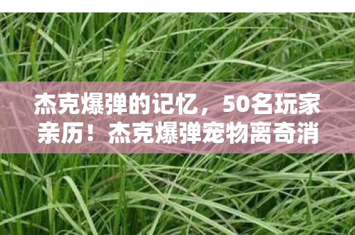 杰克爆弹的记忆,50名玩家亲历!杰克爆弹宠物离奇消失?网吧大神,这波我绷不住了! 杰克爆弹的记忆,50名玩家亲历!杰克爆弹宠物离奇消失?网吧大神,这波我绷不住了!