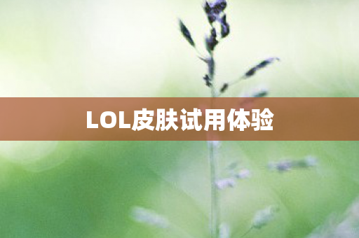 LOL皮肤试用体验图片
