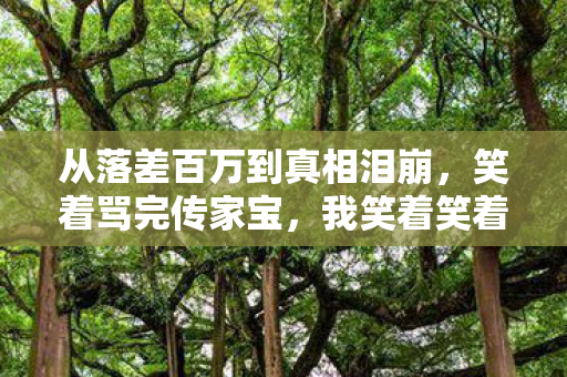 从落差百万到真相泪崩，笑着骂完传家宝，我笑着笑着哭了