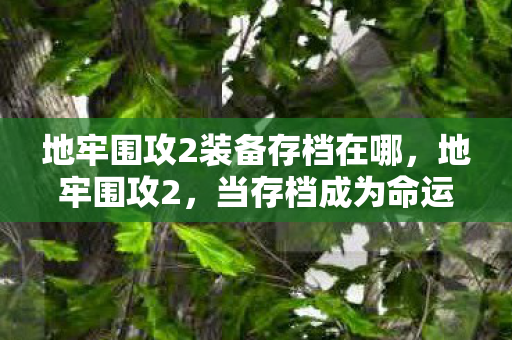 地牢围攻2装备存档在哪，地牢围攻2，当存档成为命运囚笼，自由意志在二进制深渊中震颤