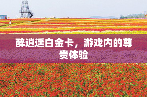 游戏内的尊贵体验图片