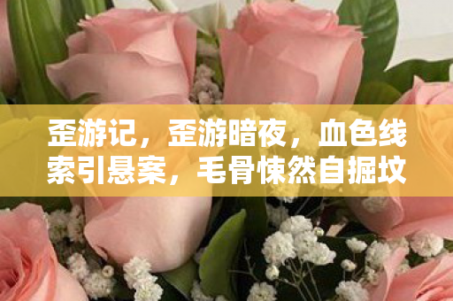 歪游记,歪游暗夜,血色线索引悬案,毛骨悚然自掘坟 歪游记,歪游暗夜,血色线索引悬案,毛骨悚然自掘坟