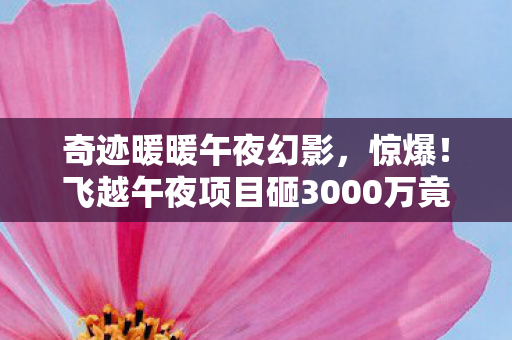 奇迹暖暖午夜幻影,惊爆!飞越午夜项目砸3000万竟藏致命隐情,离职老兵拍桌吓一跳! 奇迹暖暖午夜幻影,惊爆!飞越午夜项目砸3000万竟藏致命隐情,离职老兵拍桌吓一跳!