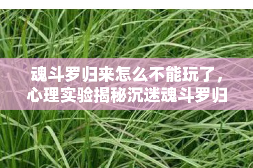 魂斗罗归来怎么不能玩了，心理实验揭秘沉迷魂斗罗归来，多巴胺陷阱下的细思极恐行为手术