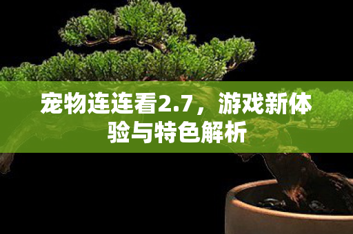 游戏新体验与特色解析图片