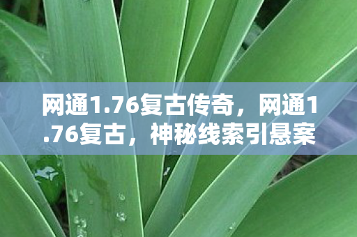 网通1.76复古传奇,网通1.76复古,神秘线索引悬案,毛骨悚然困兽局 网通1.76复古传奇,网通1.76复古,神秘线索引悬案,毛骨悚然困兽局