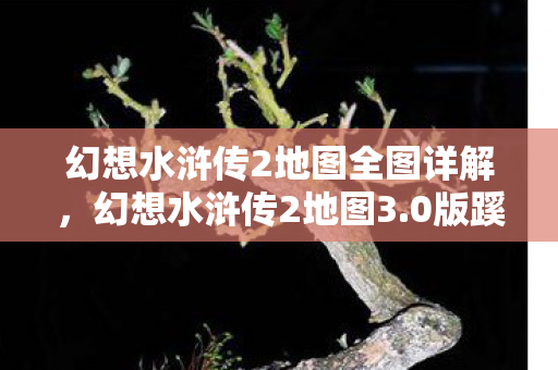 幻想水浒传2地图全图详解,幻想水浒传2地图3.0版蹊跷大改!老玩家直呼这还是我青春吗 幻想水浒传2地图全图详解,幻想水浒传2地图3.0版蹊跷大改!老玩家直呼这还是我青春吗