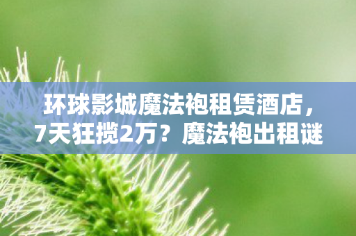 环球影城魔法袍租赁酒店,7天狂揽2万?魔法袍出租谜局,泪目真相待揭 环球影城魔法袍租赁酒店,7天狂揽2万?魔法袍出租谜局,泪目真相待揭