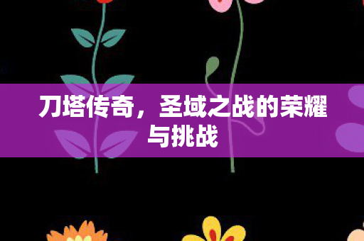 圣域之战的荣耀与挑战图片