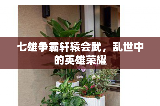七雄争霸轩辕会武图片