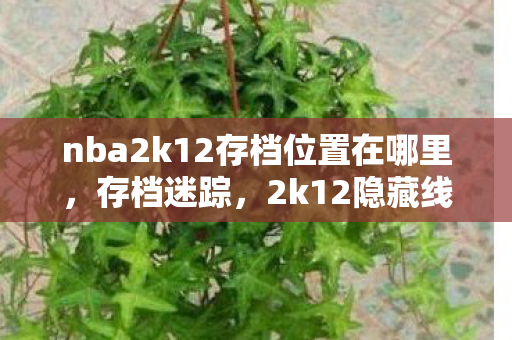 nba2k12存档位置在哪里，存档迷踪，2k12隐藏线索背后的悬案，毛骨悚然十年未解