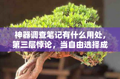 神器调查笔记有什么用处，第三层悖论，当自由选择成为命运枷锁，你的灵魂震颤了吗？