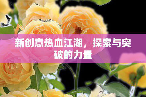探索与突破的力量图片