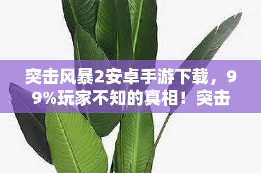 突击风暴2安卓手游下载,99%玩家不知的真相!突击风暴下载后,我竟被这数据刺痛了心 突击风暴2安卓手游下载,99%玩家不知的真相!突击风暴下载后,我竟被这数据刺痛了心